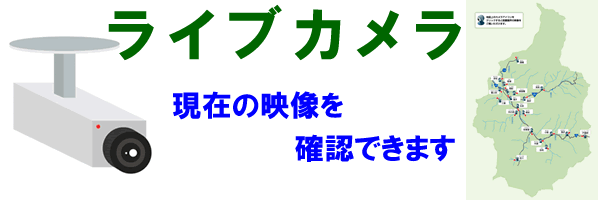 ライブカメラ・現在の映像を確認できます