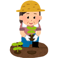 畑の畝に苗を植える農婦のイメージイラスト