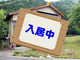 入居中