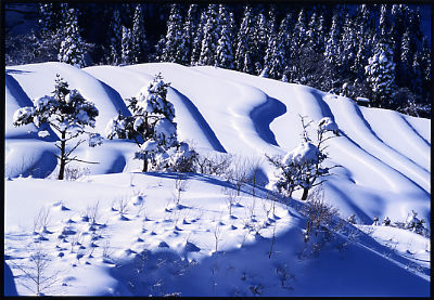 朝の光が差し込んで雪が降り積もっている棚田に影ができている写真