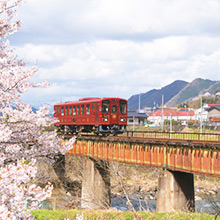 桜と鉄道橋を渡る列車の写真