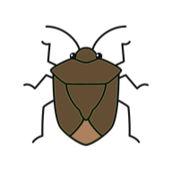 かわいくデフォルメされたカメムシのイメージイラスト