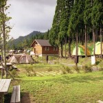 テントを張りキャンプをしている人で賑わっているキャンプ場の写真