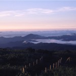 山頂から南東（兵庫県宍粟市）方面に向けて見える朝焼けの写真