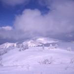 山頂望む雪原の写真