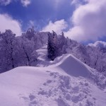 尾根の雪原の写真