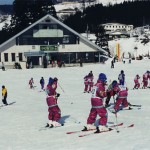 若桜氷ノ山スキー場で先生にスキーを教わっている沢山の子供たちの写真