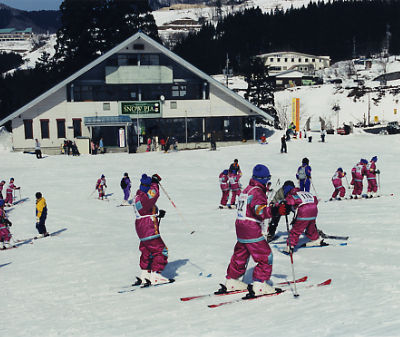 若桜氷ノ山スキー場で先生にスキーを教わっている沢山の子供たちの写真