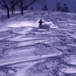 氷ノ山スキー場のコースをスキーで折りてくる人の写真