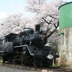 桜が咲いている若桜駅にSLが停車している写真
