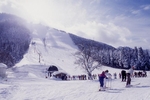 冬の雪で覆われた氷ノ山スキー場の写真