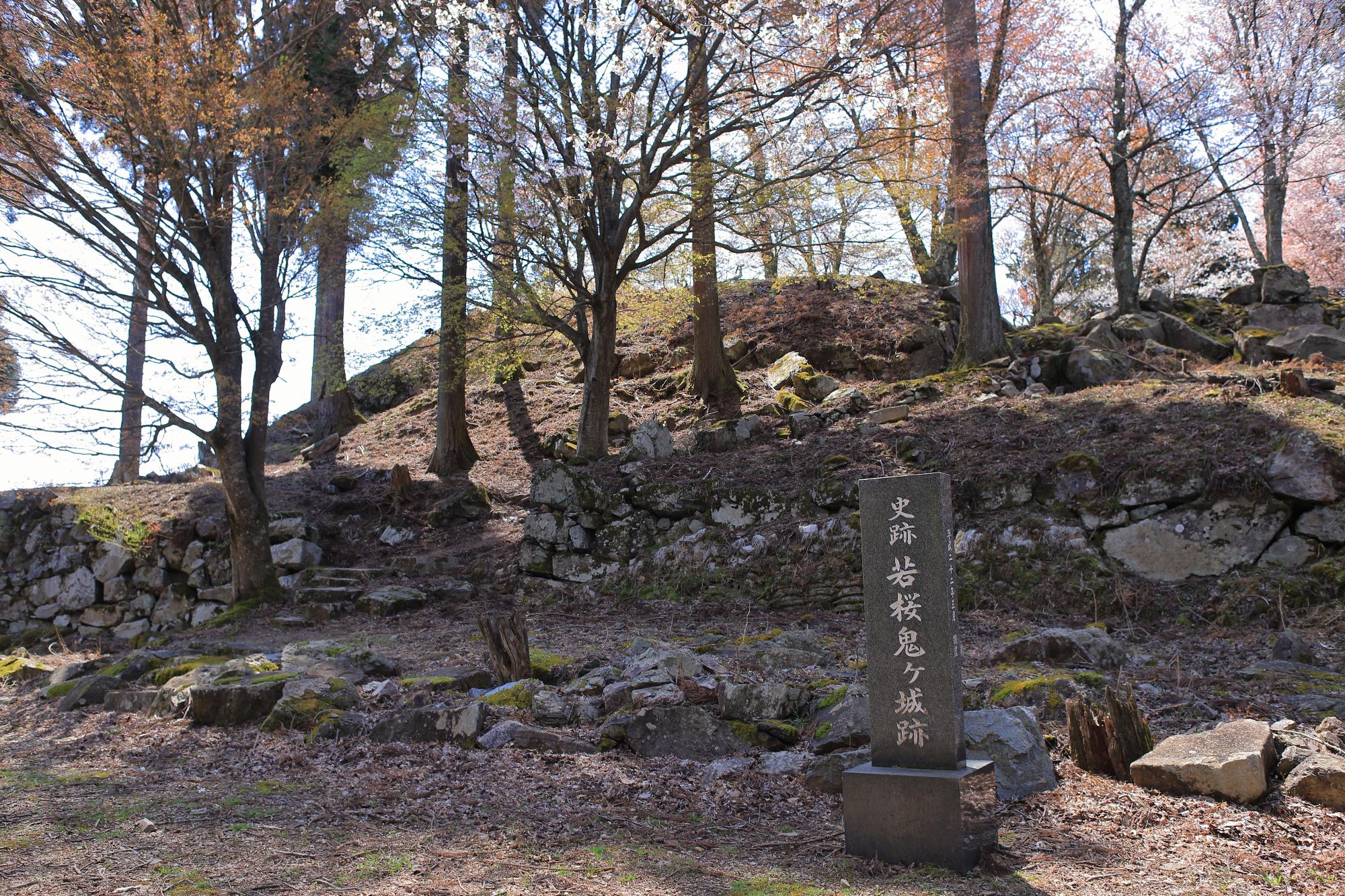 石垣の崩れた若桜鬼が城跡